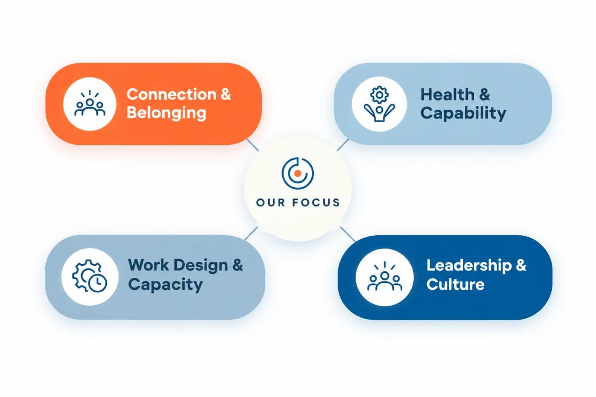Our focus: four workplace conditions — connection & belonging, health & capability, work design & capacity, and leadership & culture